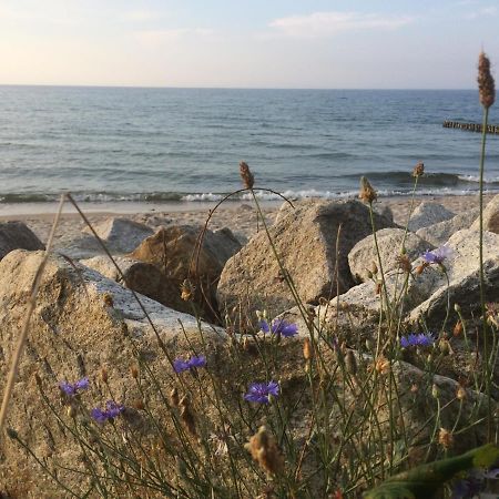 Seaside Park Private Aurora 502 Lejlighed Kołobrzeg Eksteriør billede