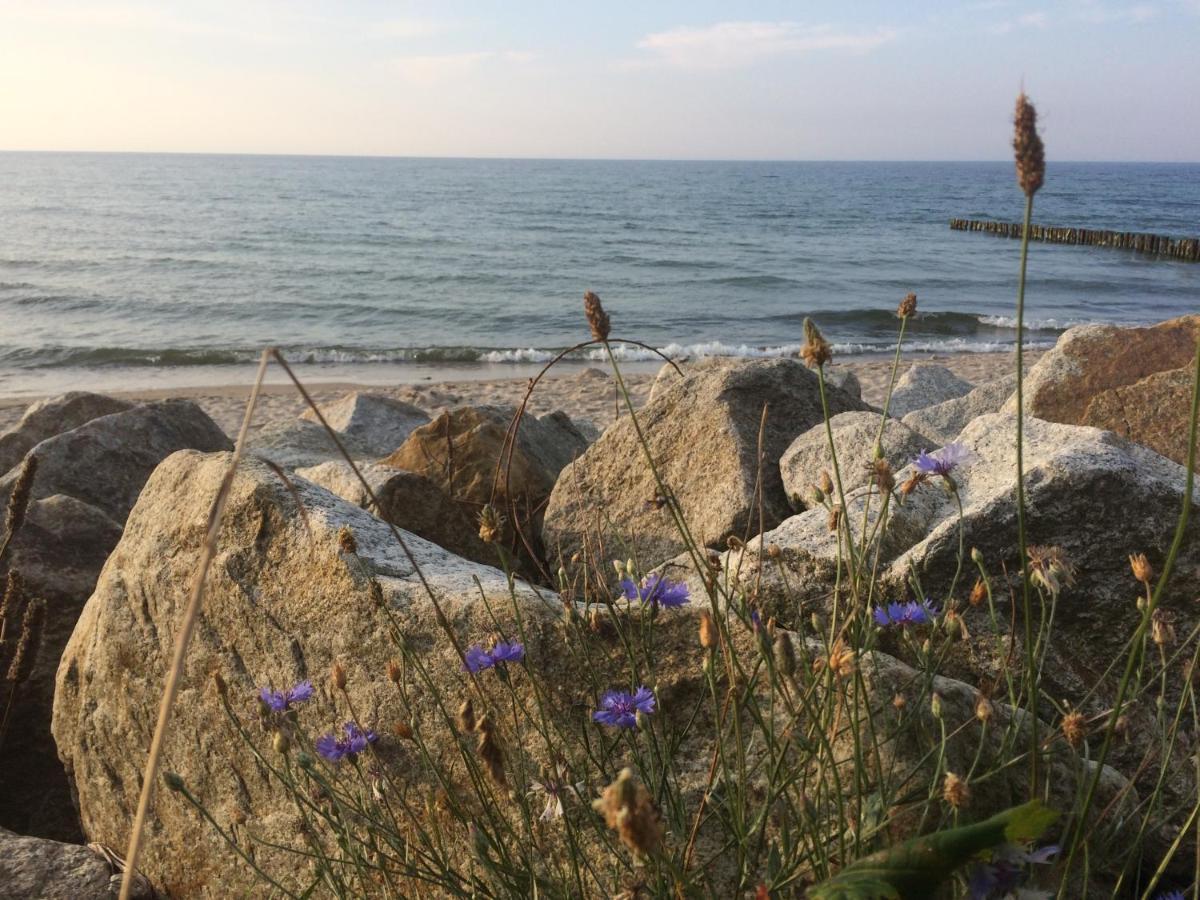 Seaside Park Private Aurora 502 Lejlighed Kołobrzeg Eksteriør billede